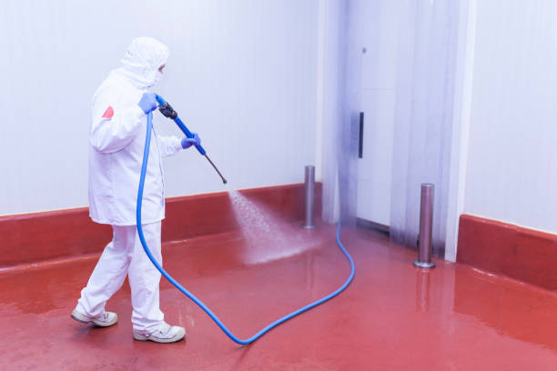Best Restaurant Pressure Washing  in Enochville, NC